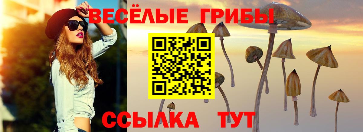 Псилоцибиновые грибы Cubensis Карпинск